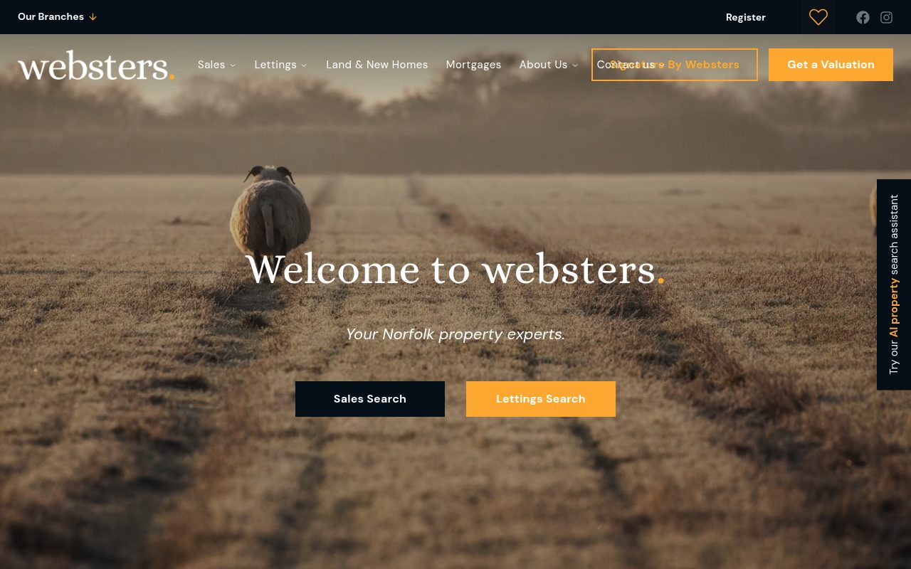 Websters website screenshot